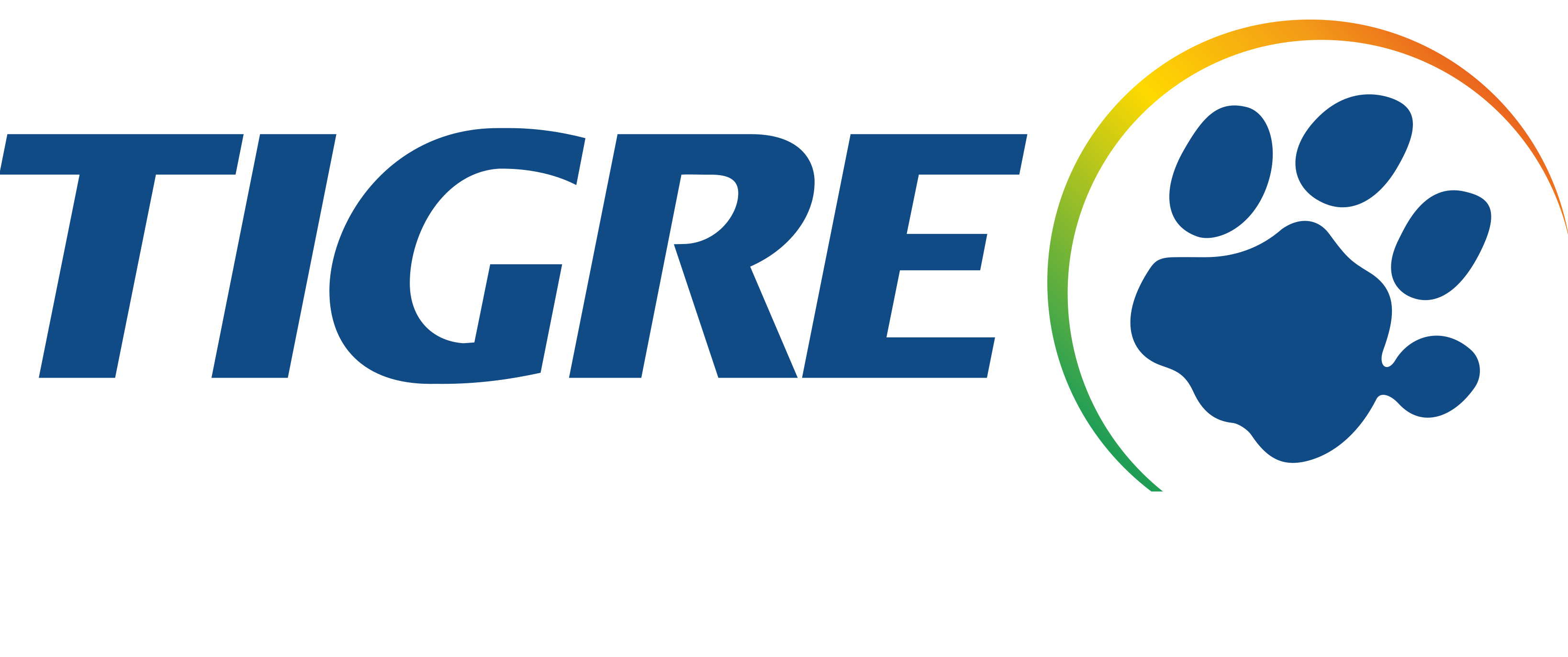TIGRE.png
